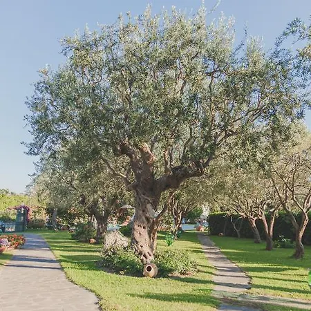 Ideal Ξενοδοχείο 3*