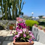 Ideal 酒店 Forio di Ischia