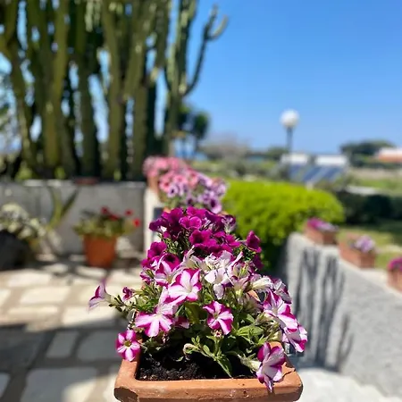 Ideal Hotel Forio (Isola d'Ischia)