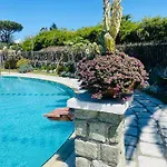 Ideal Hotel 3*